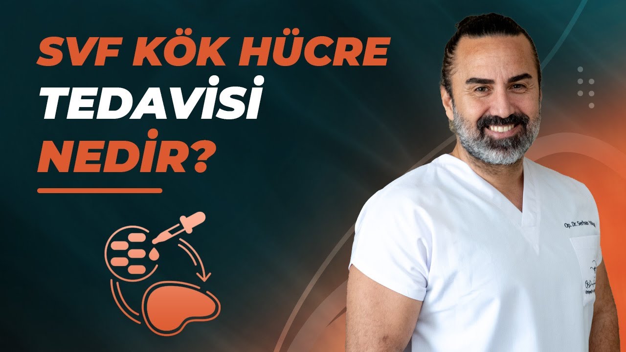 SVF Kök Hücre Tedavisi Nedir?